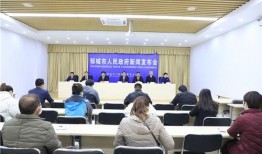 太阳纸业爆料新闻,揭秘行业动态与市场策略