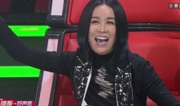 那英爆料王菲窦唯视频播放,揭秘娱乐圈不为人知的一面